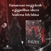 Kép 1/4 - igezet-keri-lake-next-generation-next21-kiado-kemenytablas-eldekoralt