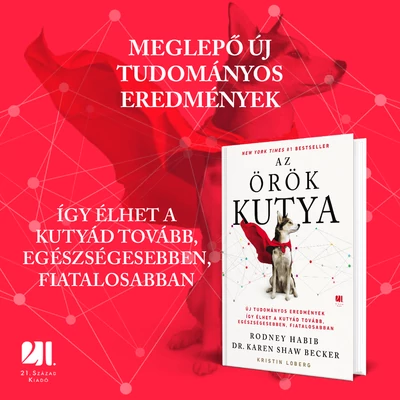 Az örök kutya - Szépséghibás