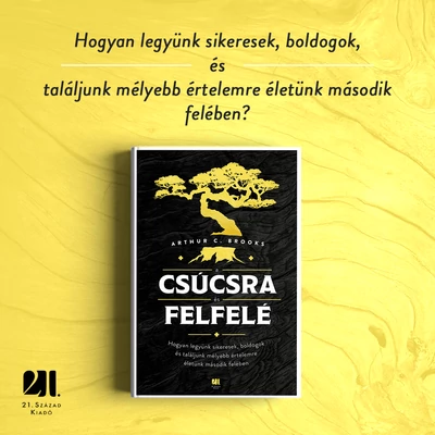 A csúcsra és felfelé - Szépséghibás